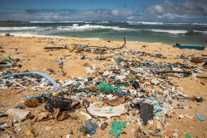 polluted vs clean beach