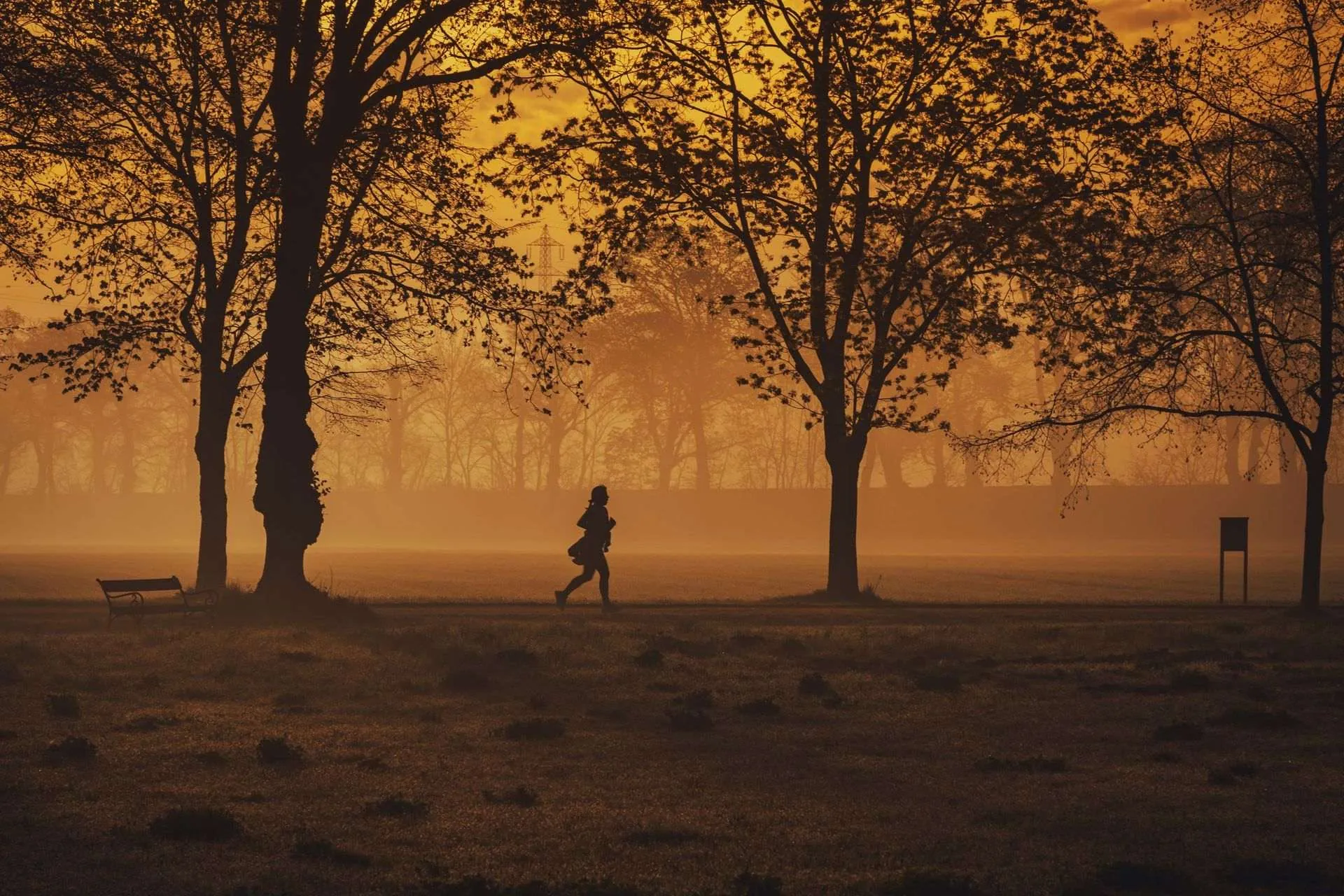 Silhouette of a runner in a misty park at sunrise, for a private label running apparel guide