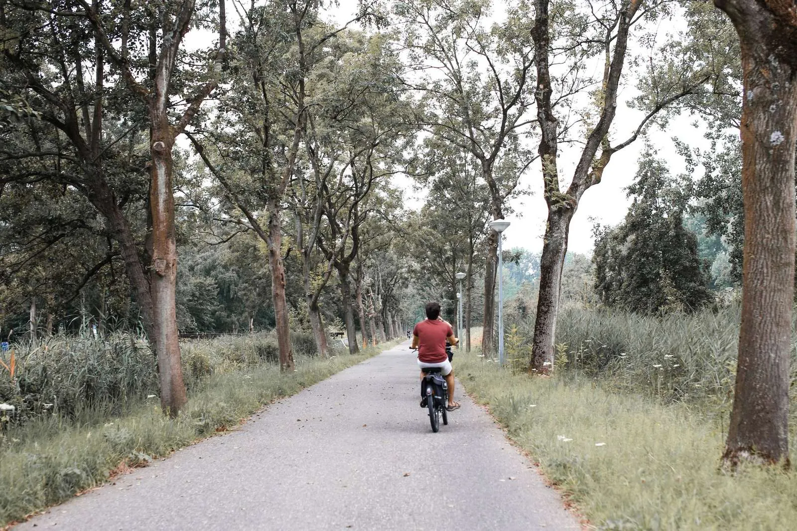 Cyclist riding alone down a tree-lined road, showing why cycling kit fit matters