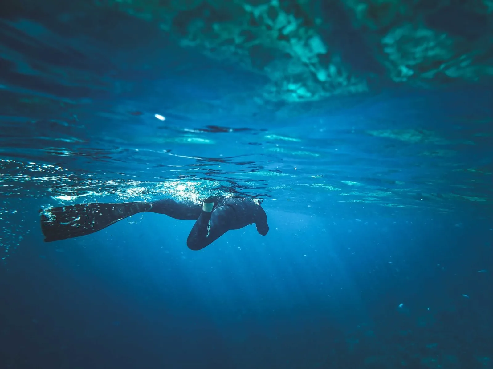Underwater view of a swimmer in dark training wear with fins, light filtering through the surface